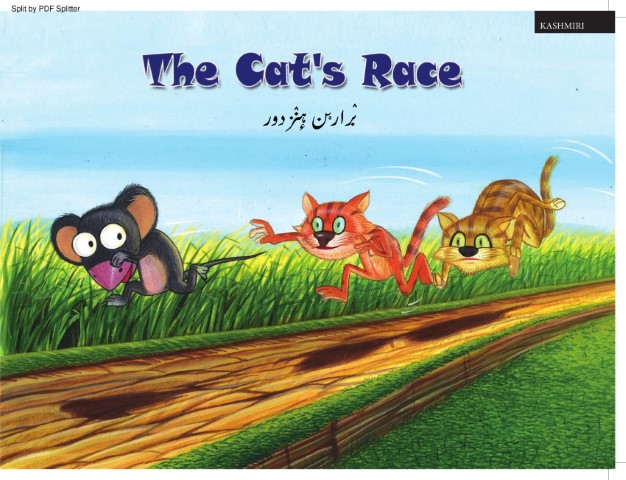 The Cat's Race